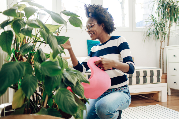 Woman watering her indoor plants