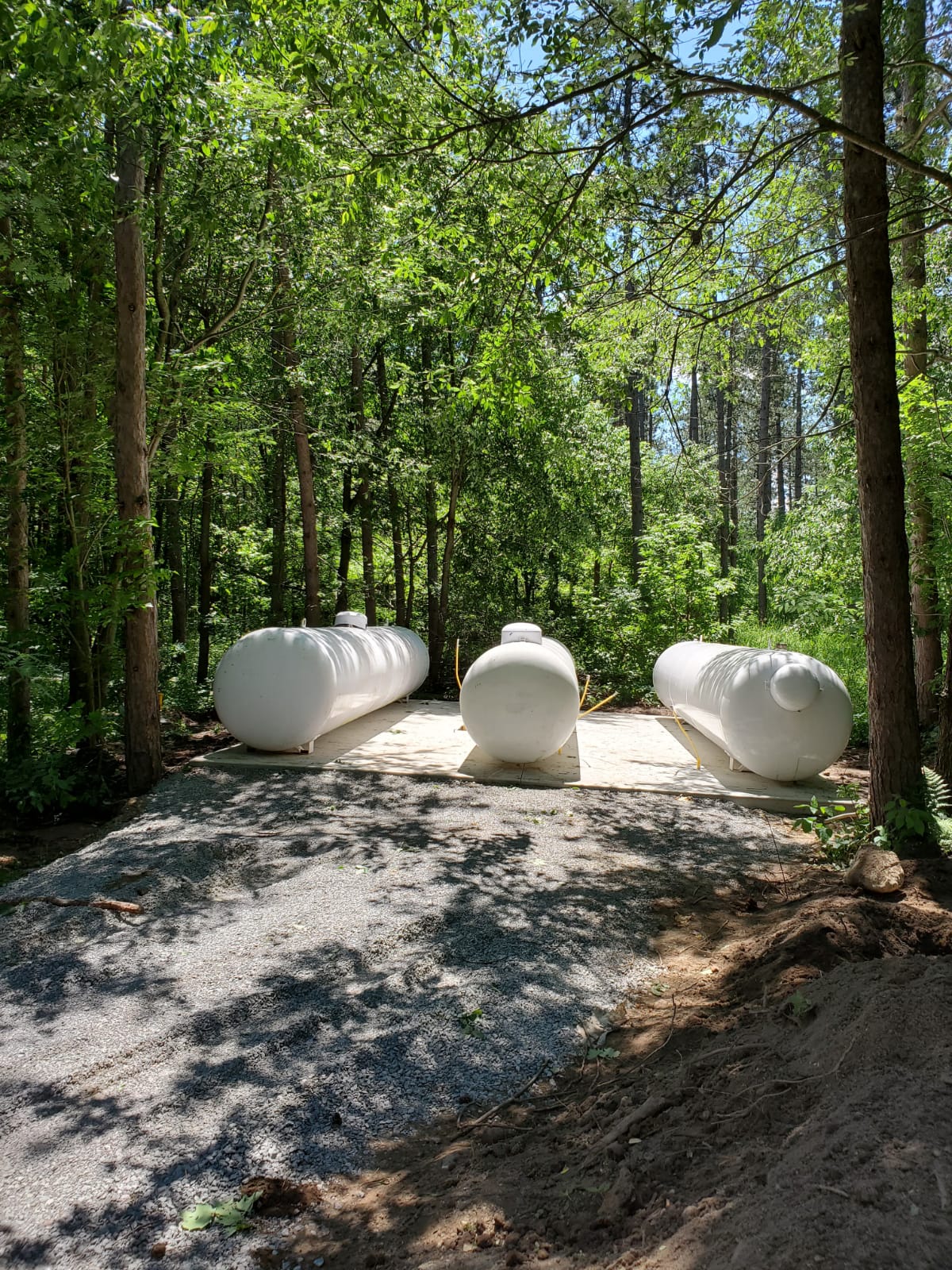 Three large white tanks are placed on a concrete surface in a forested area, surrounded by dense green trees and sunlight.