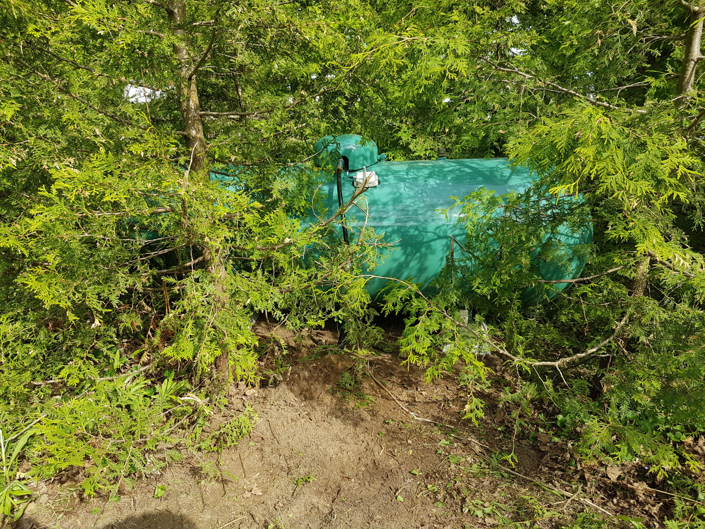 A green tank partially concealed by dense foliage and trees in a natural setting, casting shadows on the ground.