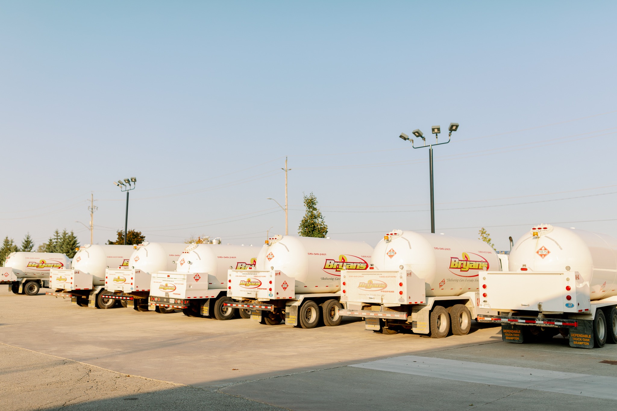 Several fuel tanker trucks are parked in a row on a concrete lot under a clear blue sky, with streetlights nearby.