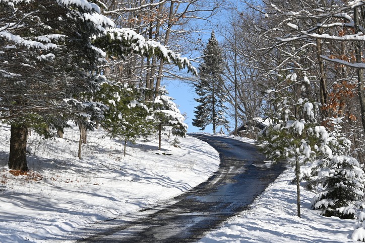 Driveway through Snowy Woods.