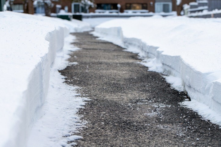 A shoveled and salted pathway.