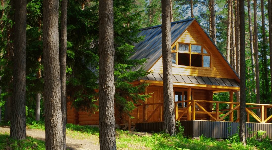 Wooden cabin surrounded by tall pine trees, nestled in a serene forest setting, with sunlight filtering through the branches, creating a peaceful atmosphere.