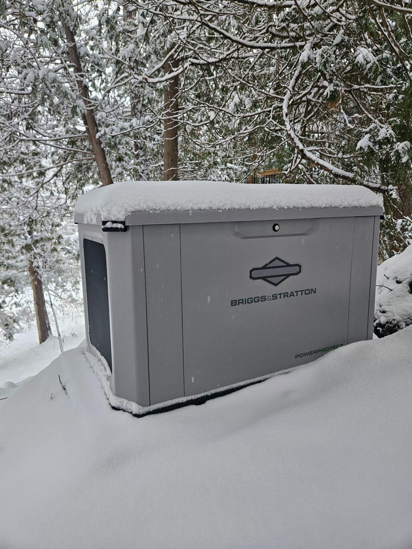 A Briggs & Stratton Generator in snow.