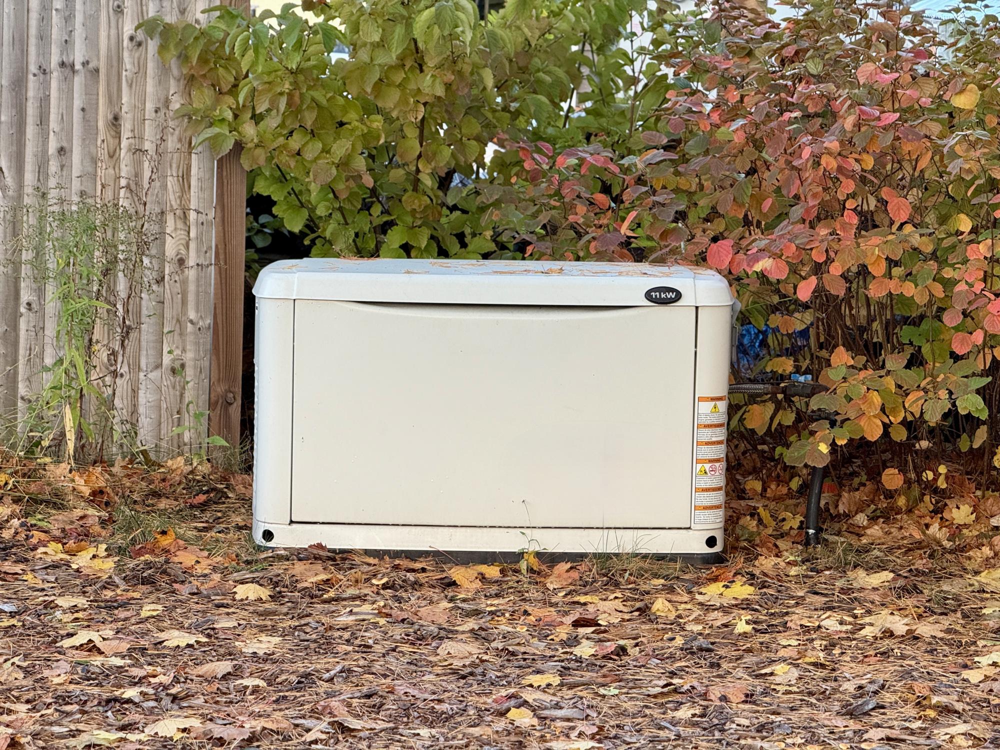 A generator outside in the fall.